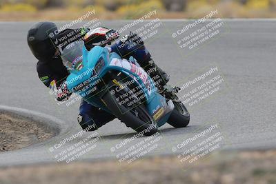 media/Nov-04-2023-2WTD (Sat) [[147bbb9217]]/B Group/1220pm (Outside Turn 2)/
